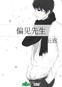 偏见先生 百度云