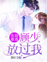 在劫难逃:顾少放过我
