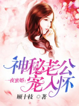 一夜蜜婚:神秘老公宠入怀全文免费阅读