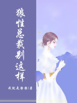 狼性总裁别心急免费阅读