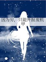 因为穷，只能开报废机甲