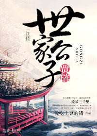 红楼之贾链小说