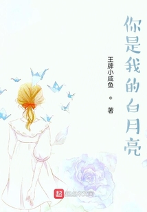 你是我的白月光是什么歌