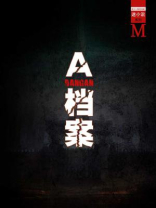档案 小说