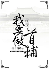 [红楼]我要做首辅TXT下载