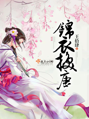 锦衣挽唐 王拾肆