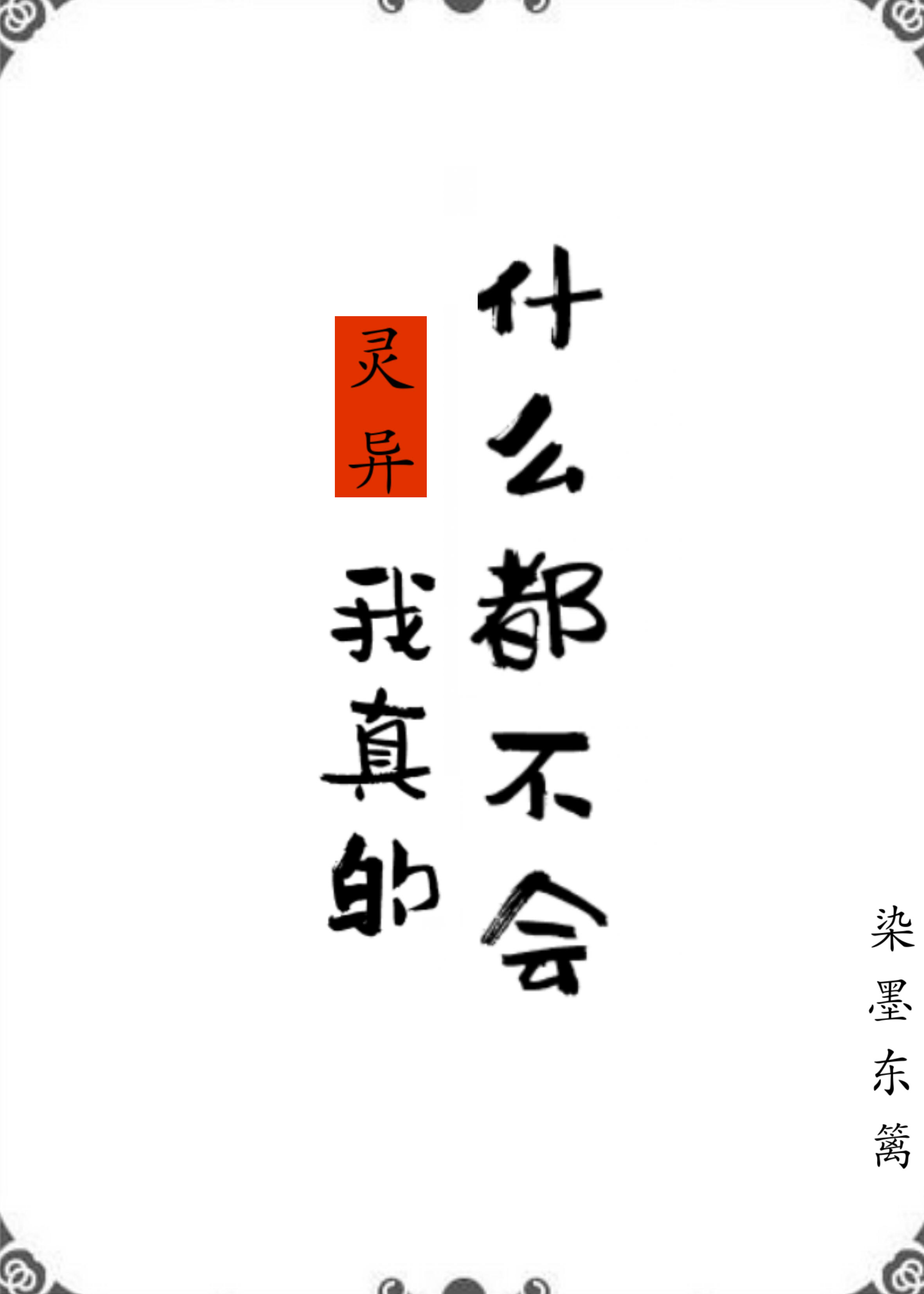 我真的什么都不会小说