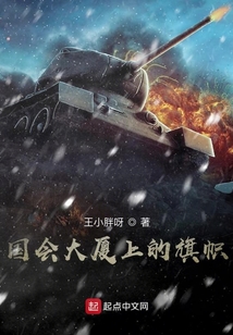 插上德国国会大厦的旗帜