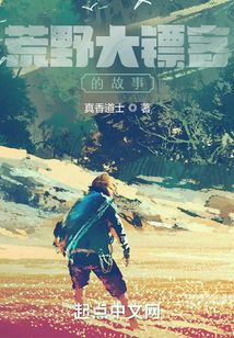 荒野大镖客的故事发生在哪个州