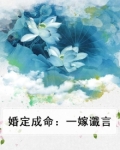 婚定成命:一嫁谶言