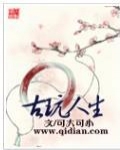 古玩人生