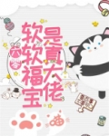 六零:软软福宝是真大佬