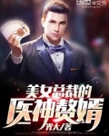 医婿叶辰