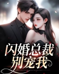 闪婚总裁别宠我