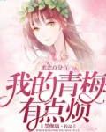 蜜恋百分百:我的青梅有点烦