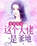 龙凤双宝:这个大佬是爹地
