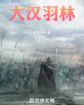 大汉羽林