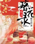 大清簪花录