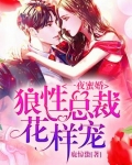 一夜蜜婚:狼性总裁花样宠!