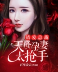 错爱总裁:天降孕妻太抢手
