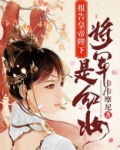 报告皇帝陛下,将军是红妆