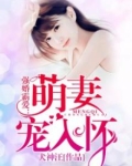 强婚霸爱:萌妻宠入怀