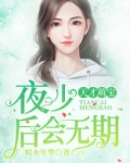 天才萌宝:夜少,后会无期