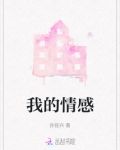 我的情感
