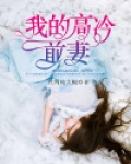 我的高冷前妻