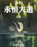盘龙：永恒大道