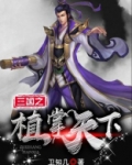三国之植掌天下