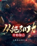 从纯阳功开始加点