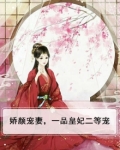 娇颜宠妻,一品皇妃二等宠