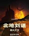 北地刘谌，再兴大汉