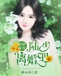 婚路漫漫：陆少离婚吧！