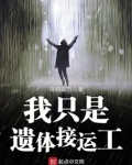 我只是遗体接运工