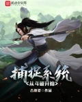 捕捉系统从斗破开始