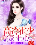高冷霍少,宠上心!