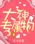 大神专属物