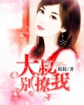 大叔别撩我