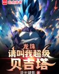 龙珠:请叫我超级贝吉塔