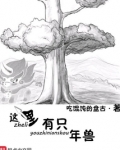 这里有只年兽