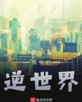 镜中的逆世界
