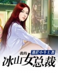 我的冰山女总裁