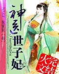 神医世子妃