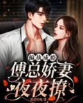 重生甜婚:在偏执傅爷怀里撒个娇