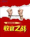 反腐风云之收官之战