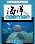 海洋：深入大海看到底