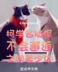 柯学名侦探不会邂逅文学美少女