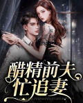 醋精前夫忙追妻